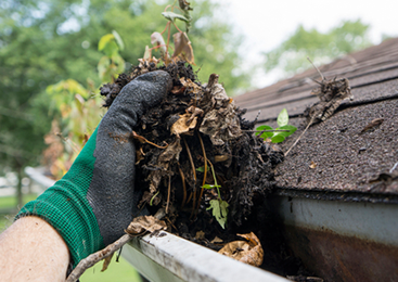 Gutter Cleaning Services